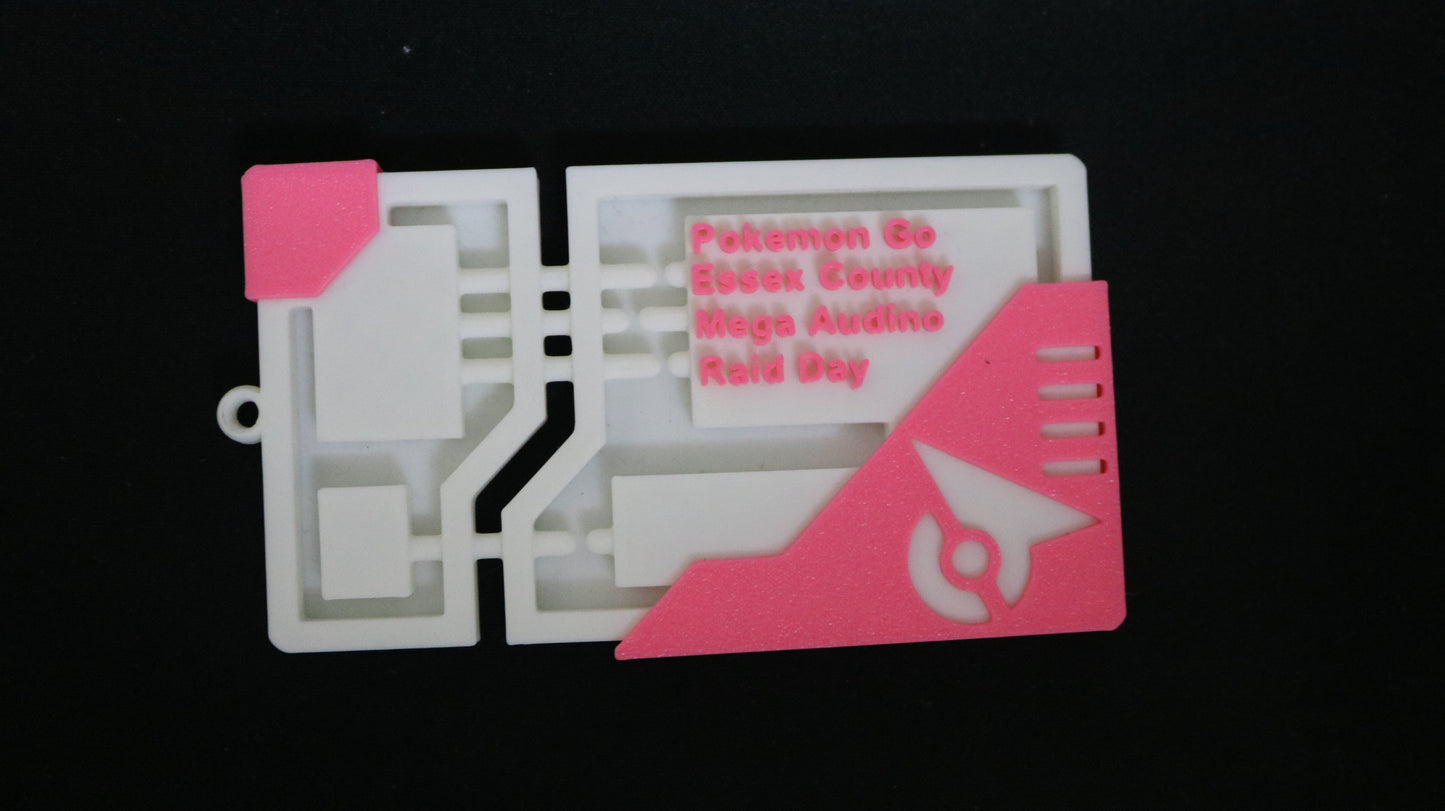 Raid Pass